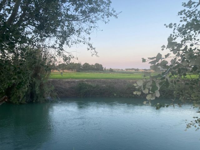 Varias Organizaciones rechazan la autorización de CHS para el uso del glifosato a orillas de los embalses de Fuensanta, Camarillas y Cenajo, en el Alto Segura (Albacete) - 1, Foto 1