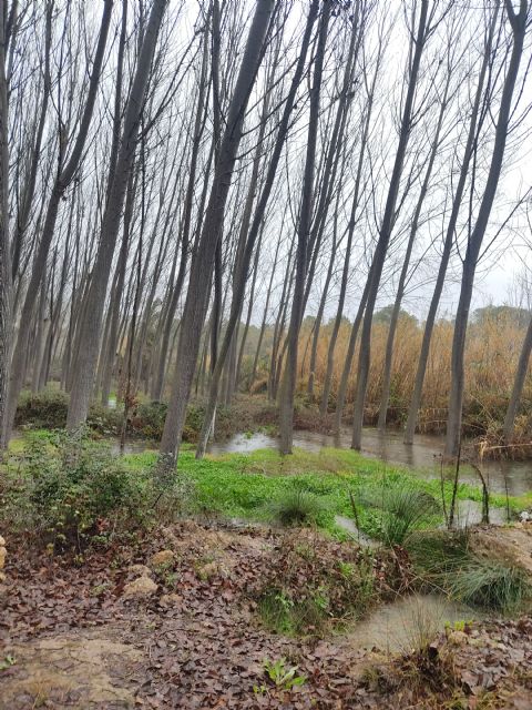 Varias Organizaciones rechazan la autorización de CHS para el uso del glifosato a orillas de los embalses de Fuensanta, Camarillas y Cenajo, en el Alto Segura (Albacete) - 4, Foto 4