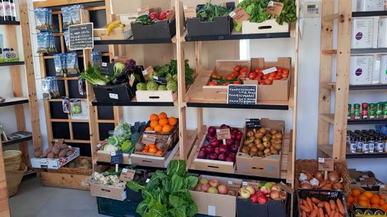 La Universidad de Murcia abre una tienda de frutas y verduras ecológicas en el Campus de Espinardo - 2, Foto 2