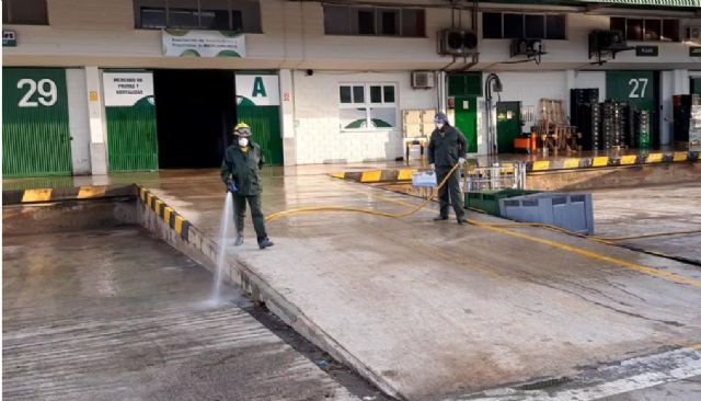 Las brigadas forestales de la Dirección General de Medio Natural realizan labores de desinfección en MercaMurcia - 4, Foto 4