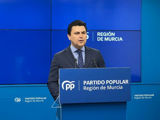 Luengo: La ministra vuelve a la Región a insultar sin aportar ninguna solución ni actuación concreta para el Mar Menor - 1, Foto 1