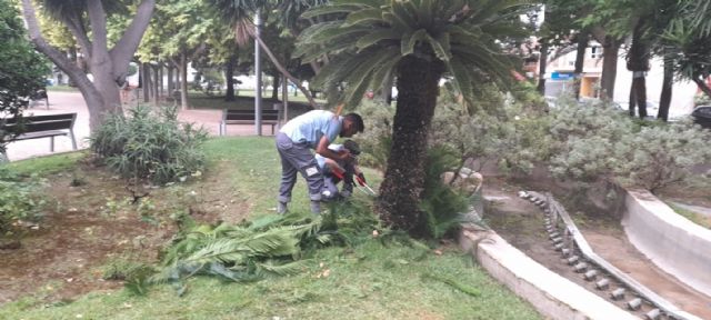 Clausura del Programa Mixto de Empleo y Formación en la ocupación de jardinero - 4, Foto 4