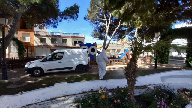 San Pedro del Pinatar pone en marcha una campaña de control del mosquito tigre - 2, Foto 2