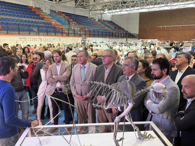La unión consolida su feria de minerales y fósiles como referente nacional e internacional - 3, Foto 3