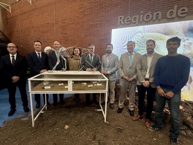 La unión consolida su feria de minerales y fósiles como referente nacional e internacional - 4, Foto 4