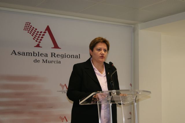 El PSOE muestra su preocupación por el fomento por parte de la Consejería del uso del servicio 112 para denunciar casos de violencia de género - 2, Foto 2