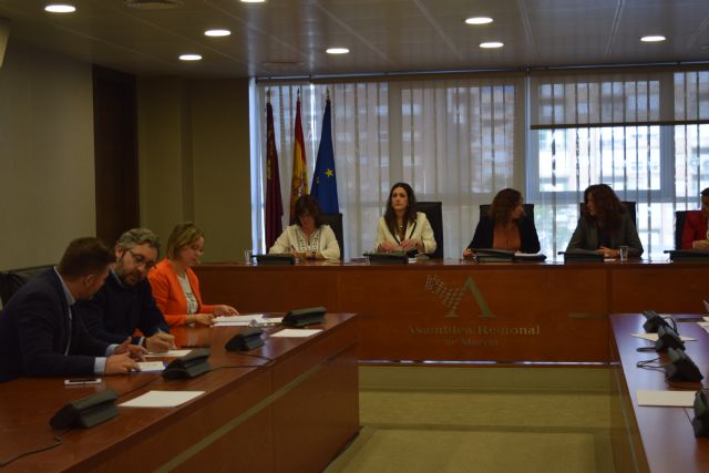 El PP propone evaluar las políticas de igualdad y violencia de género para ganar eficiencia - 1, Foto 1