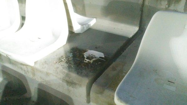 MC condena los actos vandálicos de un reducido sector de la afición del Real Murcia - 2, Foto 2