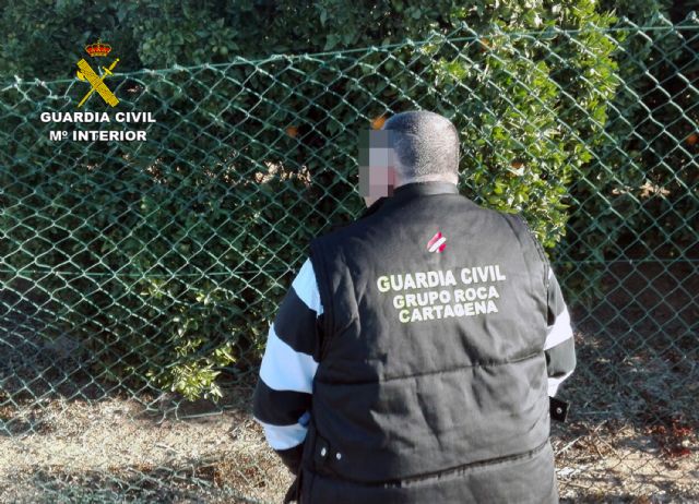 La Guardia Civil sorprende a un grupo delictivo mientras sustraía naranjas en Cartagena - 1, Foto 1