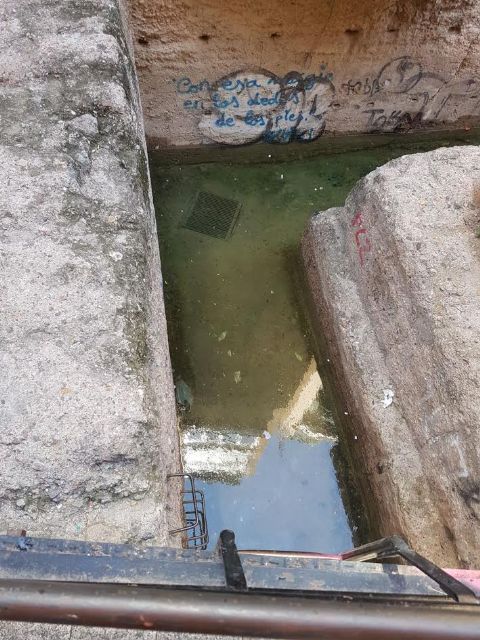 Cambiemos Murcia pide que se cumpla el protocolo de mantenimiento de la muralla árabe de la calle Sagasta - 1, Foto 1