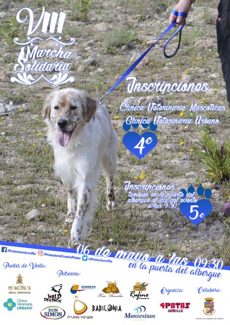 La 8ª Marcha Solidaria subirá al Castillo con los perros abandonados del Albergue Municipal - 1, Foto 1