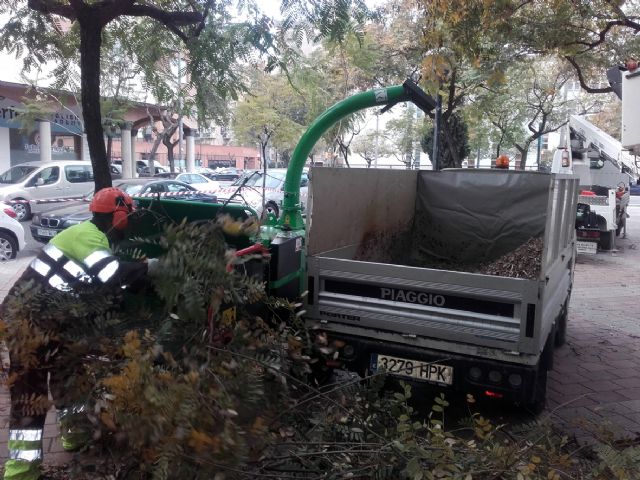 Parques y Jardines mantiene el 'ciclo verde' utilizando triturado de poda en el municipio - 1, Foto 1