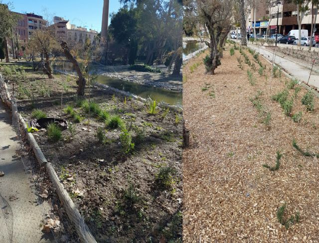 Parques y Jardines mantiene el 'ciclo verde' utilizando triturado de poda en el municipio - 2, Foto 2