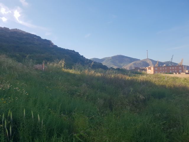 Asociación CreeCT: Por alusiones a las noticias surgidas durante el día ayer en relación a la restauración del Cerro de los Moros - 1, Foto 1