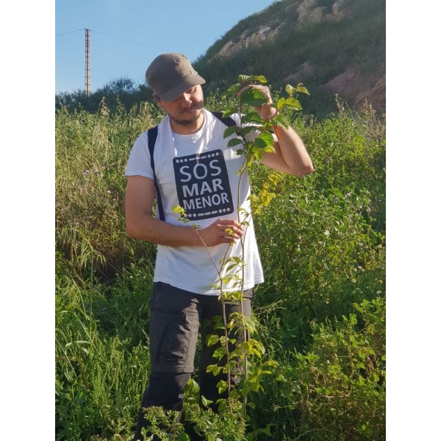 Asociación CreeCT: Por alusiones a las noticias surgidas durante el día ayer en relación a la restauración del Cerro de los Moros - 4, Foto 4