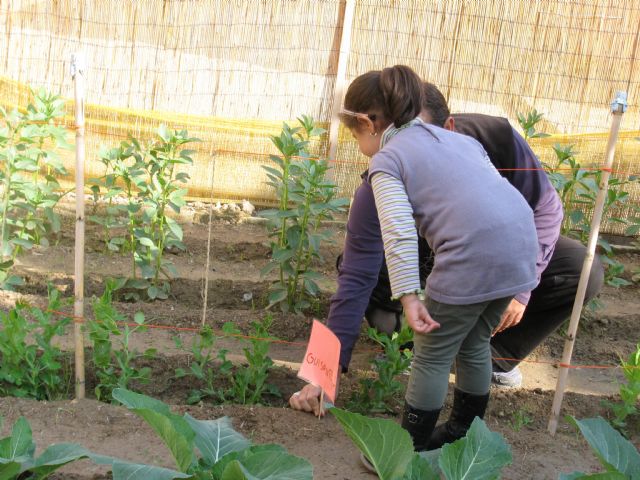 166 centros escolares reciben 5.000 plantones y sobres de semillas para sus Huertos Escolares Ecológicos - 1, Foto 1