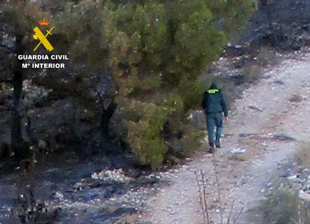 La Guardia Civil esclarece un incendio forestal en Lorca con un investigado - 1, Foto 1
