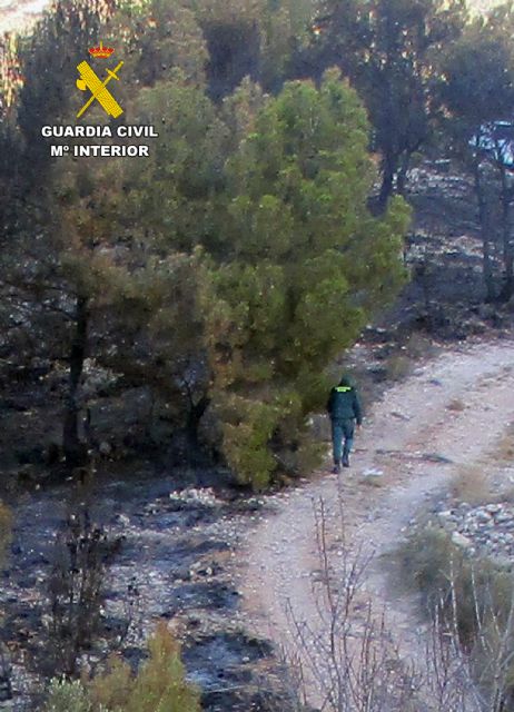 La Guardia Civil esclarece un incendio forestal en Lorca con un investigado - 4, Foto 4