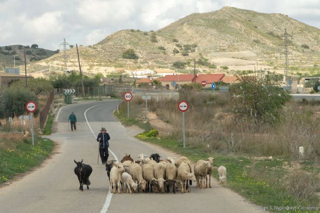 El Ayuntamiento destina más de 100.000 euros para acciones en el medio rural a través de Campoder - 1, Foto 1