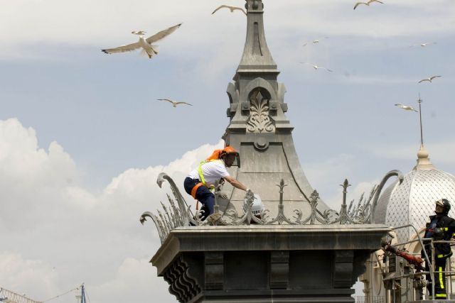 El Ayuntamiento cubre el servicio de desinsectación, desratización y control de palomas y gaviotas - 1, Foto 1