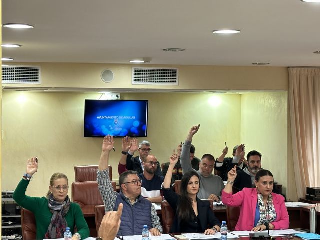 El PP consigue aprobar en pleno una moción para que se instalen cámaras de video vigilancia con el fin de reforzar la seguridad en Águilas - 1, Foto 1