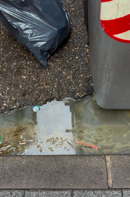 Murcia sigue sucia y el PP desaparecido - 1, Foto 1