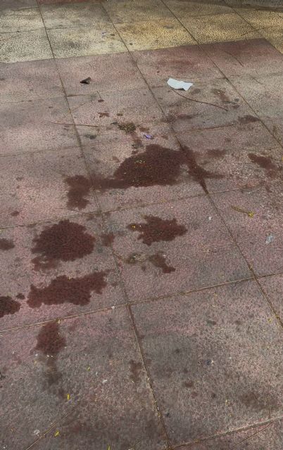 Murcia sigue sucia y el PP desaparecido - 2, Foto 2