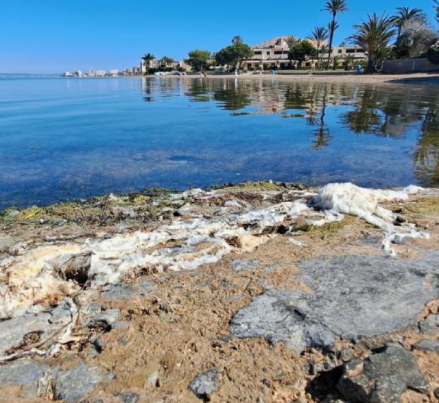 Plásticos en las playas del Mar Menor: Pacto alerta de una presión ambiental en aumento - 3, Foto 3