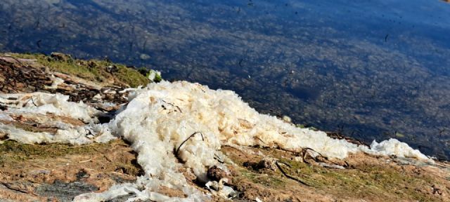 Plásticos en las playas del Mar Menor: Pacto alerta de una presión ambiental en aumento - 4, Foto 4