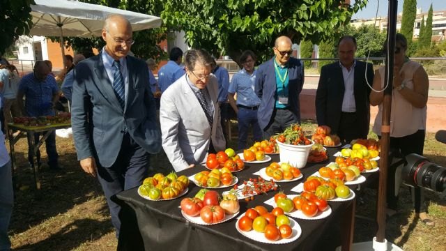 La Región de Murcia cuenta en el IMIDA con una de las colecciones de hortícolas tradicionales más importantes de España - 1, Foto 1
