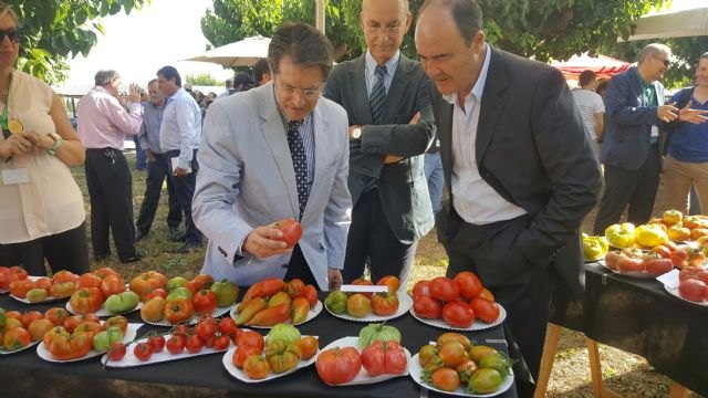 La Región de Murcia cuenta en el IMIDA con una de las colecciones de hortícolas tradicionales más importantes de España - 2, Foto 2