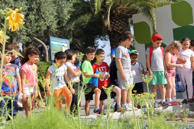 Los escolares plantan más de 300 árboles y plantas para aumentar los espacios verdes en Puerto Lumbreras - 2, Foto 2