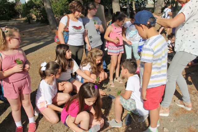 Los escolares plantan más de 300 árboles y plantas para aumentar los espacios verdes en Puerto Lumbreras - 3, Foto 3