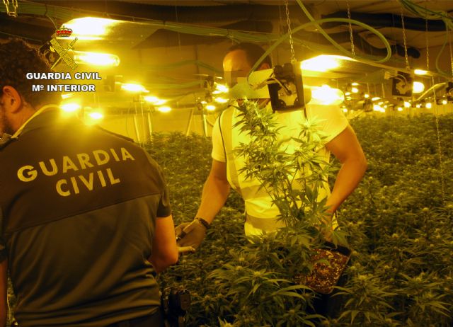 La Guardia Civil desmantela un invernadero clandestino con cerca de 2.000 plantas de cannabis, Foto 1