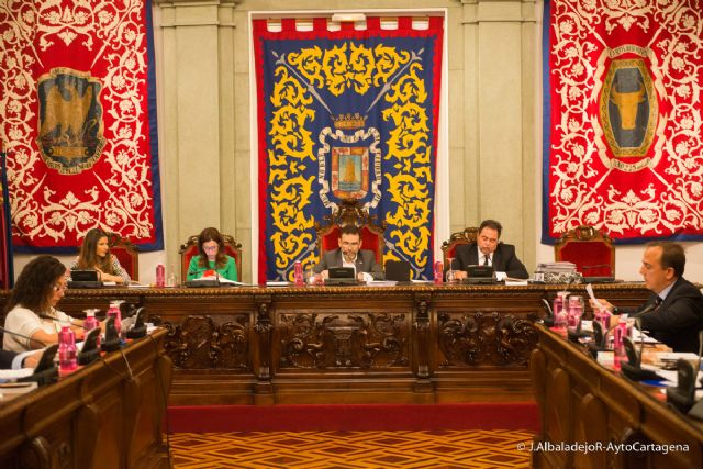Una veintena de iniciativas de los grupos municipales salen adelante en el pleno - 1, Foto 1