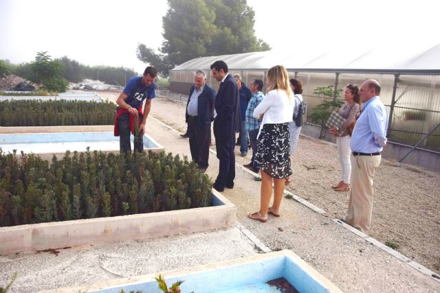 Los 42 centros especiales de empleo llegan a la cifra récord de 1.145 trabajadores con discapacidad - 1, Foto 1