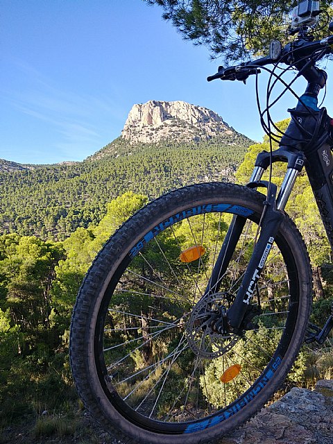 La nueva movilidad dispara el uso de la bicicleta: qué seguro necesitas - 2, Foto 2