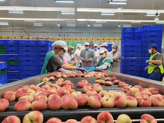 Antonio Luengo visita las instalaciones de Alimer y destaca la apuesta por la modernización e innovación del sector agroalimentario - 1, Foto 1