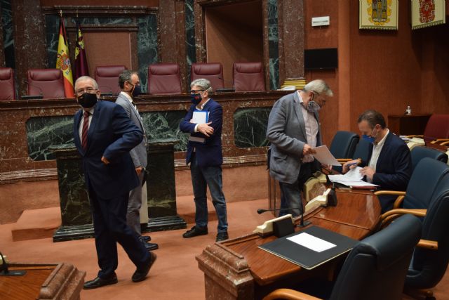 El PP impulsa tramitar en la Asamblea por la vía de urgencia la Ley de Protección del Mar Menor - 1, Foto 1