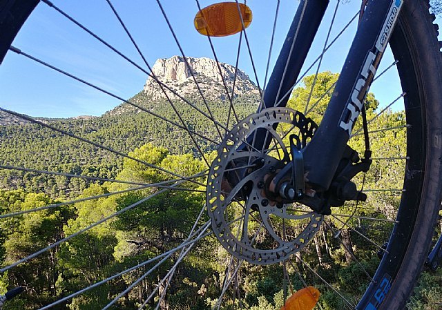 Los españoles, más ciclistas que nunca - 1, Foto 1