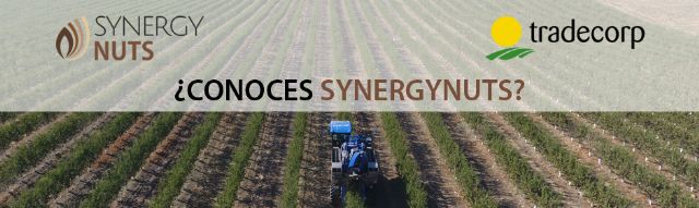 Tradecorp forma parte de la plataforma Synergynuts para la difusión del cultivo de frutos secos en seto - 1, Foto 1