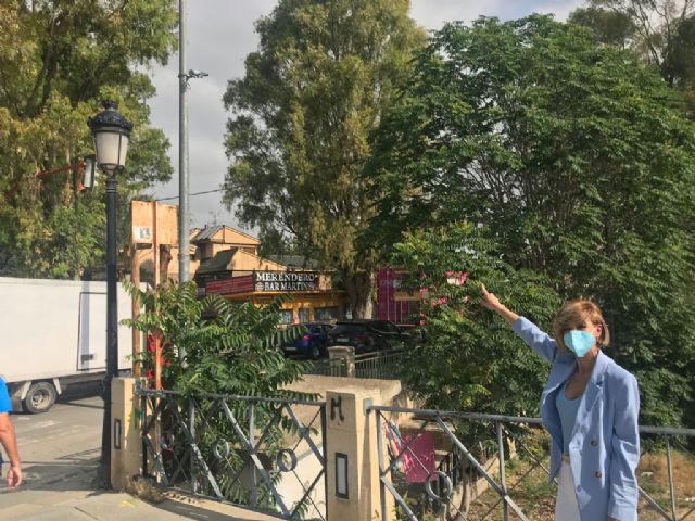 El PP exige el cese del concejal de seguridad - 1, Foto 1