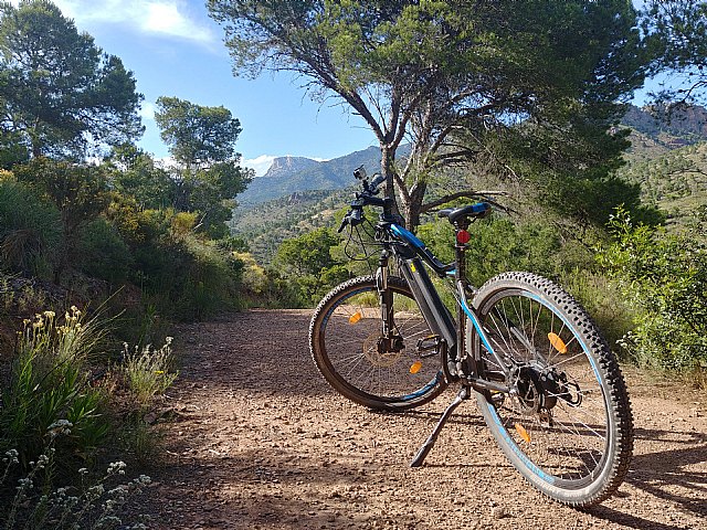 Día Mundial de la Bicicleta - 1, Foto 1