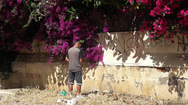 Arrecian los problemas provocados por las nubes de mosquitos, presencia de ratas y acumulación de basura en el tramo urbano de las vías del tren - 1, Foto 1