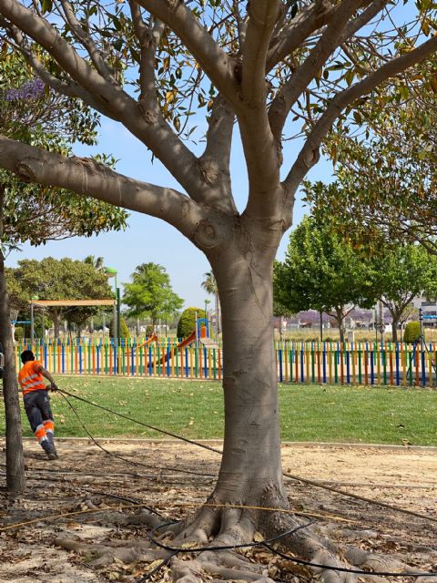 El Ayuntamiento procede a la reparación del cableado sustraído en el Jardín junto al Cementerio - 3, Foto 3