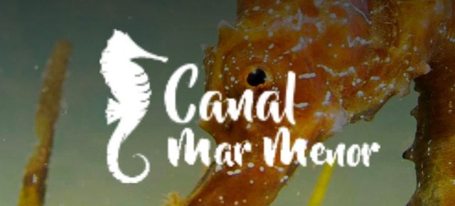 El Gobierno regional lanza un documento vivo con las acciones concretas para avanzar en la recuperación del Mar Menor - 1, Foto 1