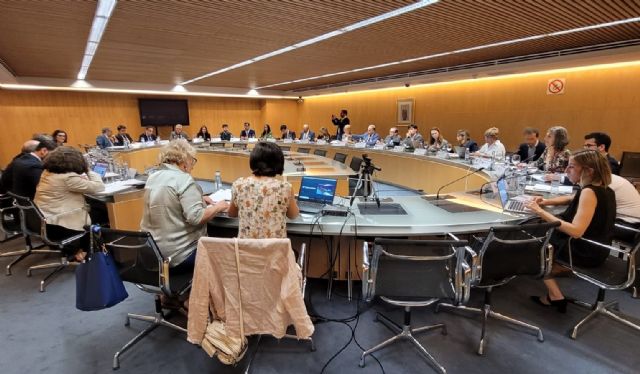 La Comunidad asegura que el borrador de la ley de universidades no resuelve los retos de las instituciones académicas - 2, Foto 2