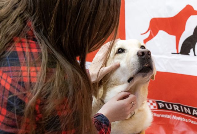 Perros de intervención favorecen labor sanitaria, desde una perspectiva de atención personalizada, positiva e integral - 2, Foto 2