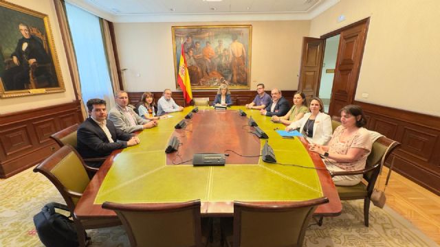 SIME, junto con el resto de organizaciones que constituimos APEMYF, se reúne con los grupos parlamentarios PP, EH Bildu y Junts per Catalunya del Congreso de los Diputados - 1, Foto 1