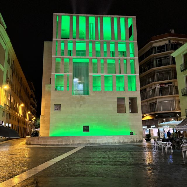 Murcia se suma a la conmemoración del Día Internacional de las Miastenia - 1, Foto 1